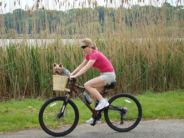 Best-Dog-Baskets-for-Your-Bike.jpg#asset:1111